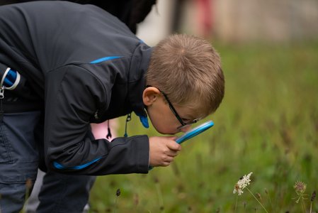 Junge untersucht Blume mit Lupe